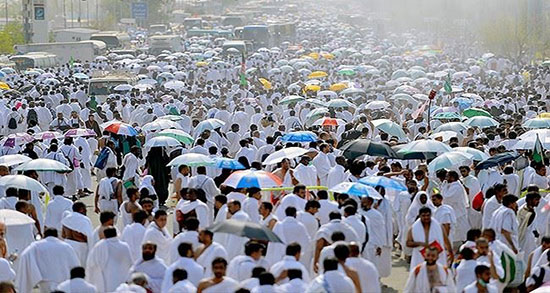 تعبیر خواب حاجی