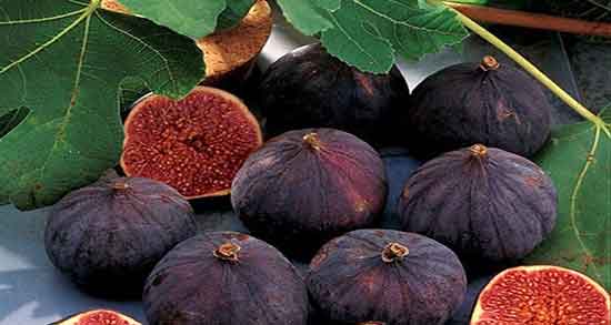 تعبیر خواب انجیر خشک