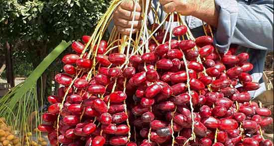 تعبیر خواب خارک سرخ