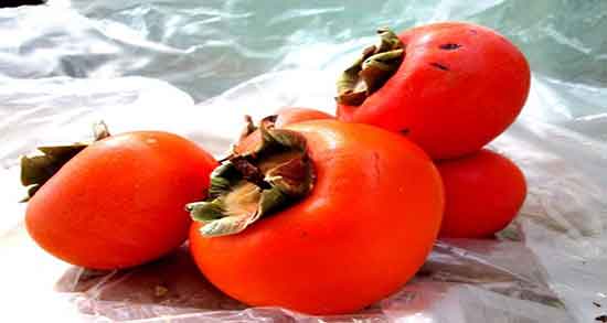 تعبیر خواب خرمالو زن باردار