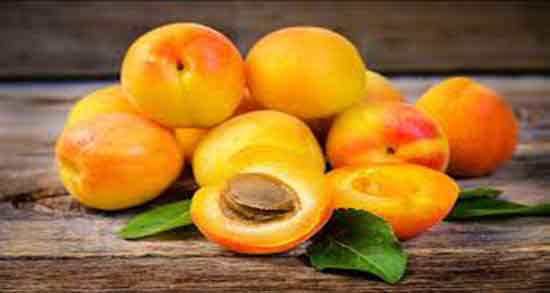 تعبیر خواب زردآلو رسیده