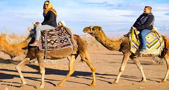 تعبیر خواب شتر سواری ابن سیرین