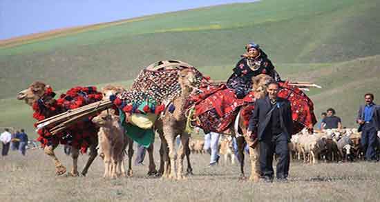 تعبیر خواب عشایر