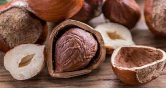 تعبیر خواب فندق برای زن باردار