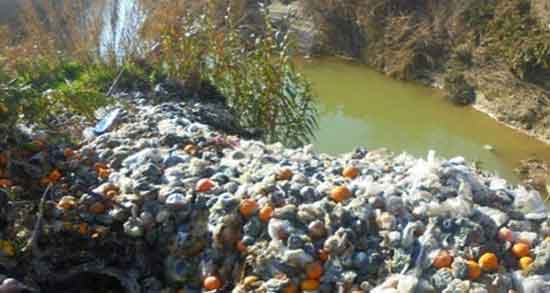 تعبیر خواب میوه خراب