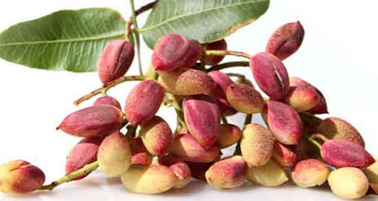 تعبیر خواب پسته خریدن