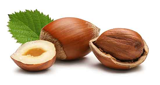 تعبیر خواب گرفتن فندق از مرده