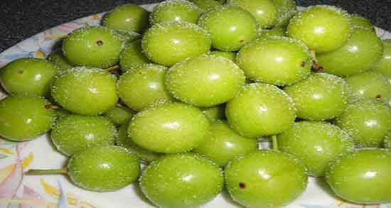 تعبیر خواب گوجه باغی