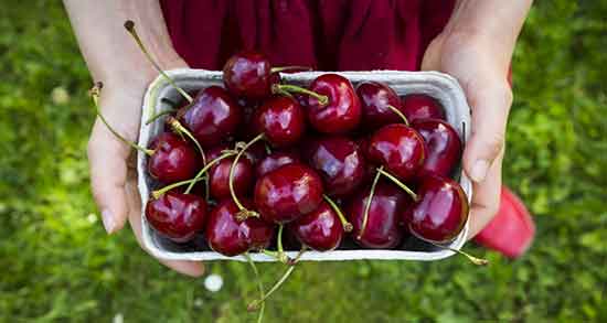 تعبیر خواب گیلاس خراب