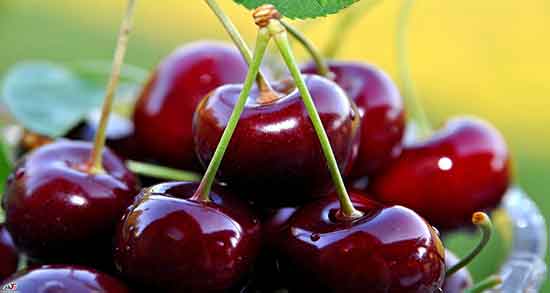تعبیر خواب گیلاس کرم دار