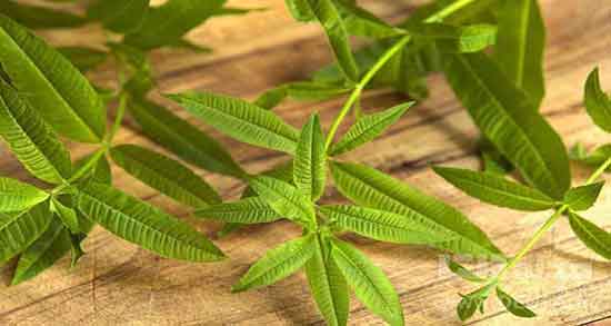 خواص به لیمو ؛ دارچین و بهار نارنج برای کودکان و پوست و لاغری و تشنج