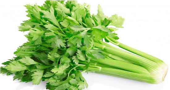 طریقه مصرف کرفس کوهی ؛ که در مناطق غربی و در ارتفاعات کوههای زاگرس می باشند