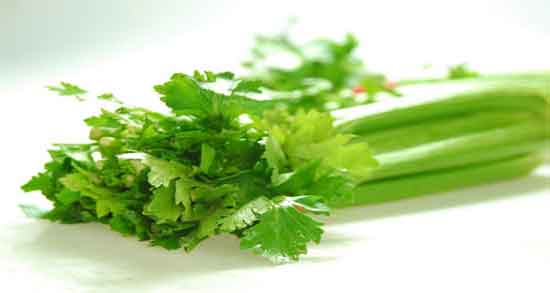 کرفس و بارداری