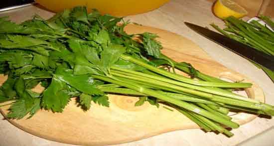 خواص کرفس در بارداری