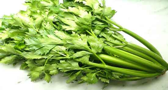 خواص کرفس برای لاغری شکم