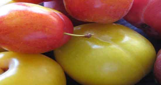 خواص آلو برای یبوست