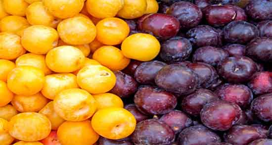 خواص آلو برای پوست