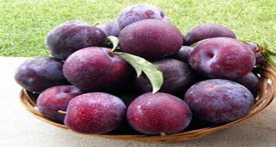 خواص آلو در بدنسازی
