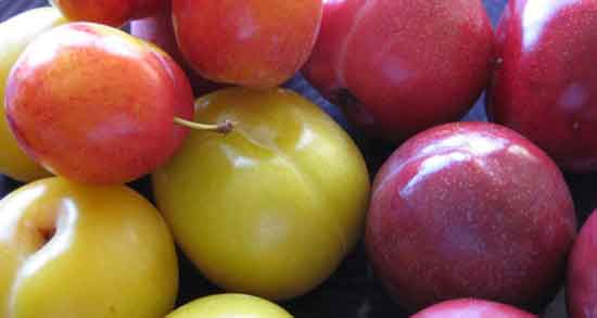 خواص آلو برای کودکان
