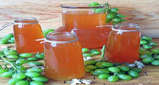 Ph آبغوره ؛ تعیین ویژگی های آبغوره تازه و ارزیابی تغییرات در بدن