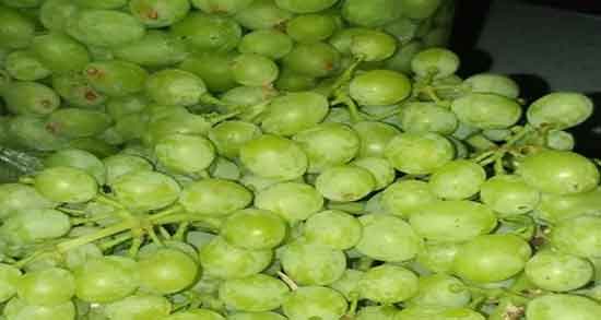 خواص آبغوره و آبلیمو ؛ تاثیر رژیم غذایی این دو در بدن انسان