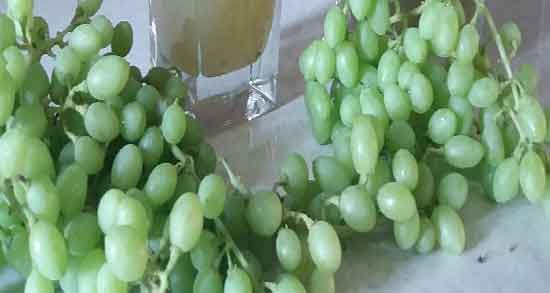 فواید آبغوره برای لاغری ؛ کاهش چربی دور شکم با نوشیدن آب غوره به صورت ناشتا