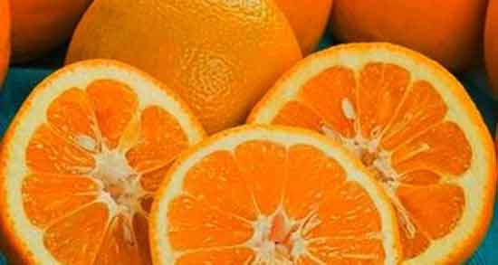 تعبیر خواب درخت نارنج و پرتقال ، معنی دیدن درخت نارنج و پرتقال در خواب چیست
