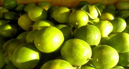 آب لیمو ترش برای چشم