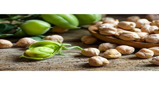 آب نخود برای تقویت اسپرم