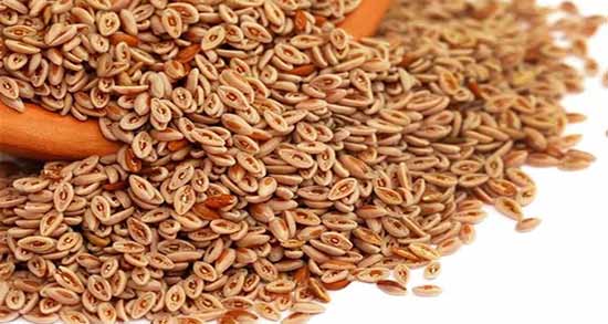 اسفرزه برای چاقی ؛ خلاص شدن از اضافه وزن و چاقی با اسفرزه