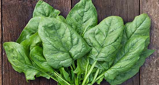 اسفناج را چگونه مصرف کنیم ؛ نکاتی طلایی برای نحوه خوردن اسفناج