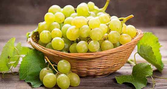 انگور برای عفونت ؛ خاصیت ضد عفونی کنندگی انگور برای بدن