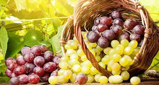 انگور برای معده ؛ درمان ناراحتی و التهاب معده با خوردن انگور