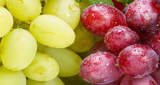 انگور و زخم معده ؛ تاثیر خوردن انگور برای درمان زخم معده