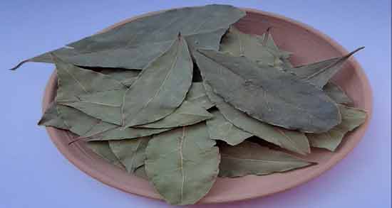 برگ بو برای مو ؛ تقویت موی سر و درمان شوره با مصرف برگ بو