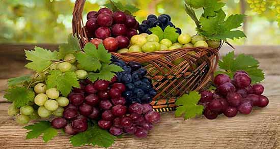 بهترین زمان مصرف انگور برای لاغری ؛ کی انگور بخوریم تا لاغر شویم؟