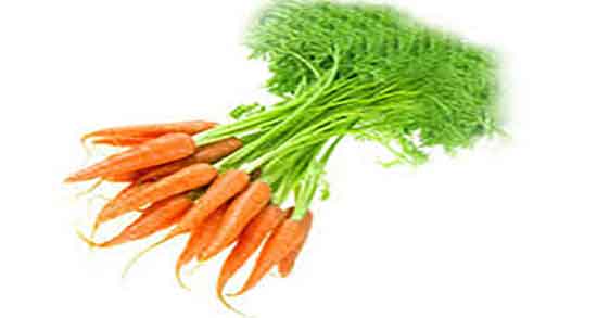خواص آب هویج در طب سنتی