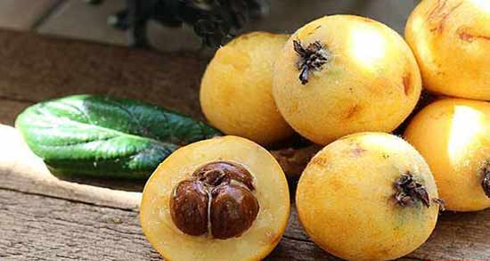 خواص ازگیل در دوران بارداری ؛ خاصیت خوردن ازگیل تازه برای دوران بارداری