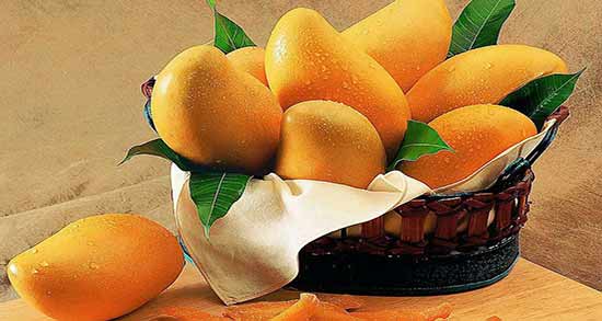 خواص انبه در دوران بارداری ؛ خاصیت های زیاد انبه برای سلامت زن باردار