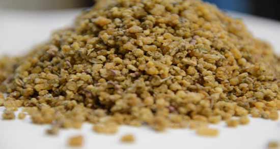 خواص خاکشیر و ترنجبین ؛ نوشیدن شربت خاکشیر با ترنجبین چه خواصی دارد