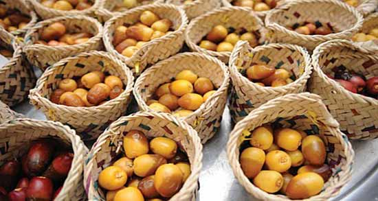 خواص خرمای نارس ؛ آیا می دانید خرمای نارس یا همان خارک چه خواصی دارد