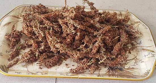 خواص دمنوش سماق نکوبیده ؛ روش تهیه دمنوش خوشمزه با سماق