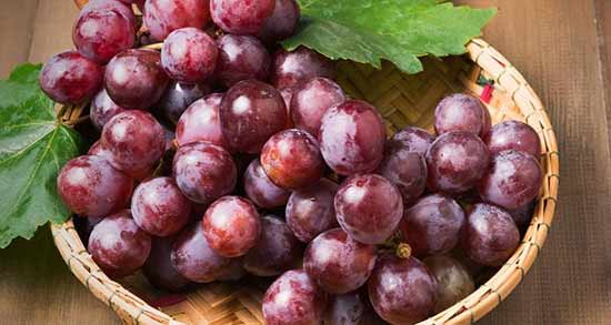 رژیم ۳ روزه انگور ؛ چطور می توان در عرض 3 روز با مصرف انگور لاغر شویم