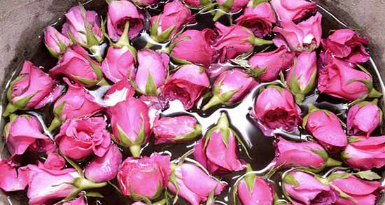 فواید گلاب برای کرونا ؛ چه رابطه ای بین مصرف گلاب و درمان کرونا هست؟