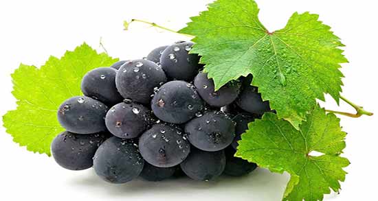 مضرات انگور برای کبد ؛ معایب خوردن میوه انگور تازه برای ناراحتی کبد