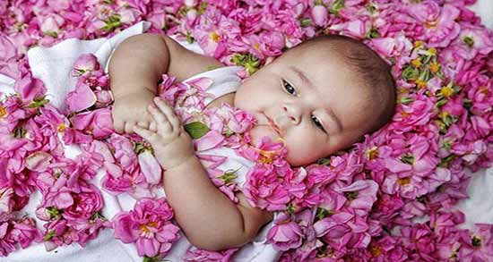 مضرات گلاب برای کودکان ؛ خطرات مصرف گلاب برای بچه ها و کودکان زیر 2 سال