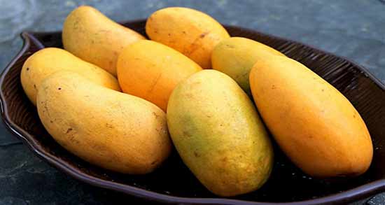 ویار انبه در بارداری ؛ خواص و عوارض جانبی مصرف انبه برای زن باردار