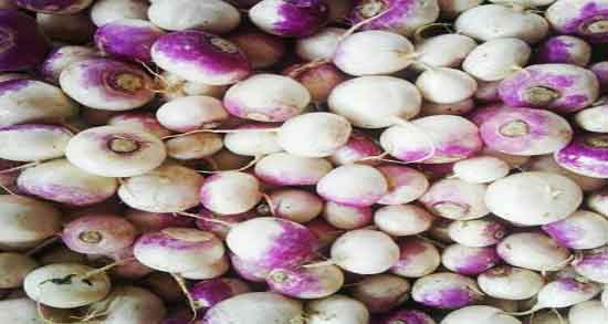 چگونه اب شلغم بگیریم ؛ طرز صحیح گرفتن آب شلغم و نگهداری از آن