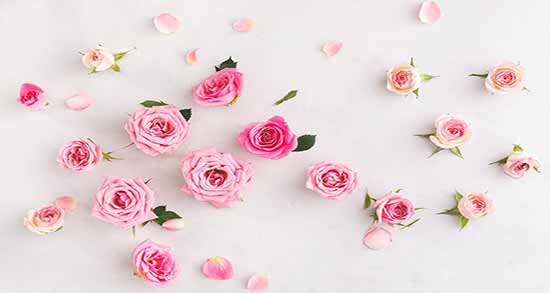 گلاب برای مو ؛ داشتن موهایی سالم و درخشان با مصرف گلاب