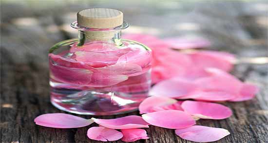 گلاب و خواص آن ؛ همه چیز در مورد خاصیت های فراوان گلاب